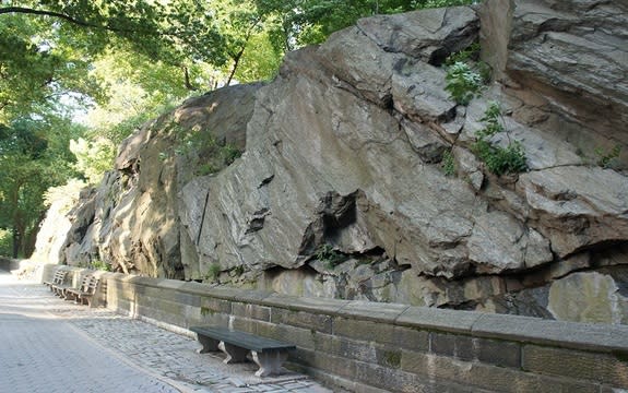 This cross-section of bedrock on Central Park West shows how the layers of Manhattan schist are tilted to the south.