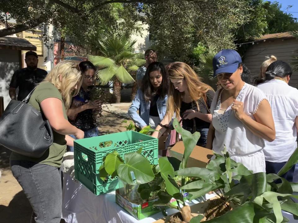 This undated photo, provided by Ana Carlson, shows people at a plant swap in Los Angeles. Plant swaps have become a popular way for armature horticulturists to meet like-minded people while exchanging growing advice or rare plants. (Ana Carlson/Sill Appeal via AP)