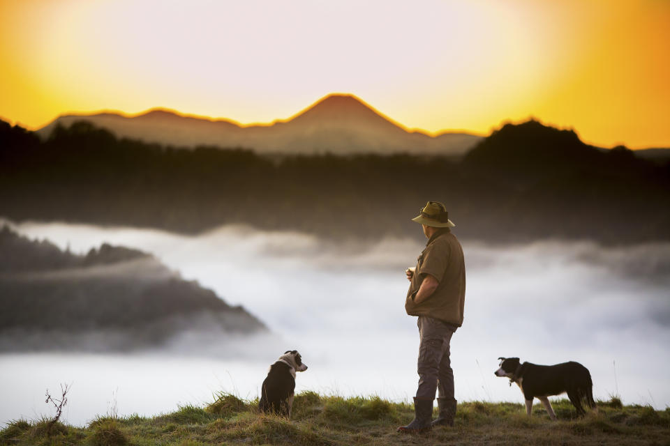 <p>À part avec son voisin australien, la Nouvelle-Zélande n'envisage pas un retour à la normale dans l'immédiat (Crédit : Getty Images)</p> 