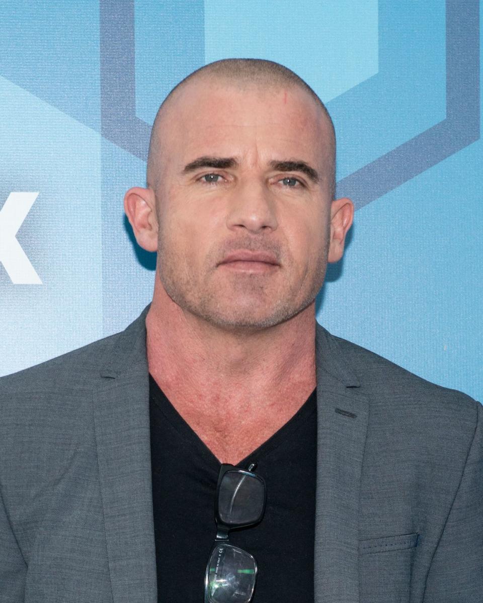 dominic purcell