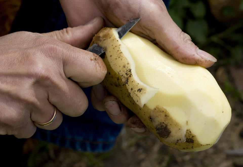 Hay que estar atento a brotes o marcas verdes en la piel de las patatas. Foto: Getty Creative