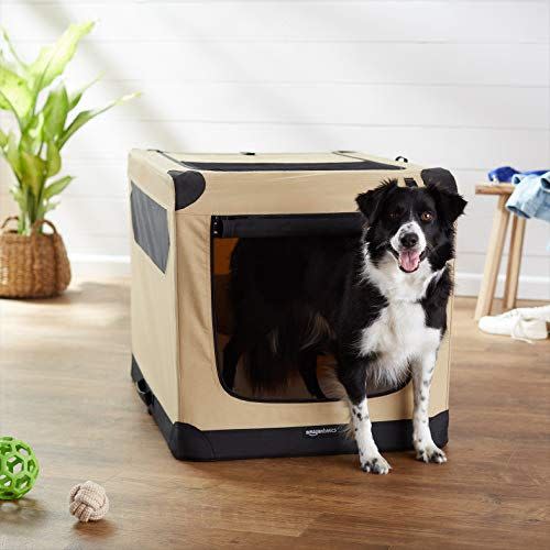 4) AmazonBasics Portable Folding Soft Dog Travel Crate