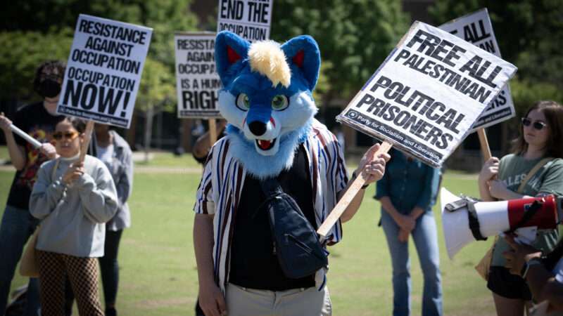Student demonstrators protesting the Israel-Hamas war