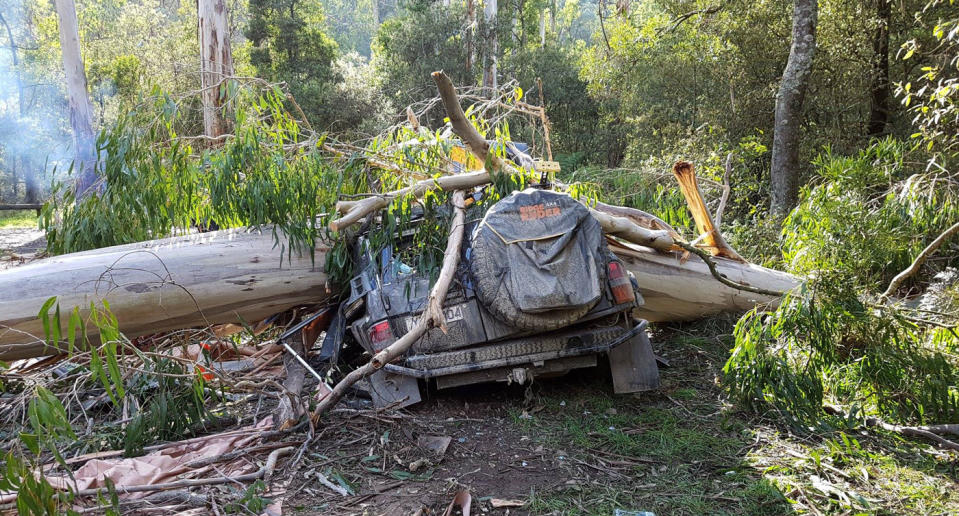 Andrew Owen is lucky to be alive after camping next to his 4WD that was flattened by the tree. Source: Facebook/ Chris Weir