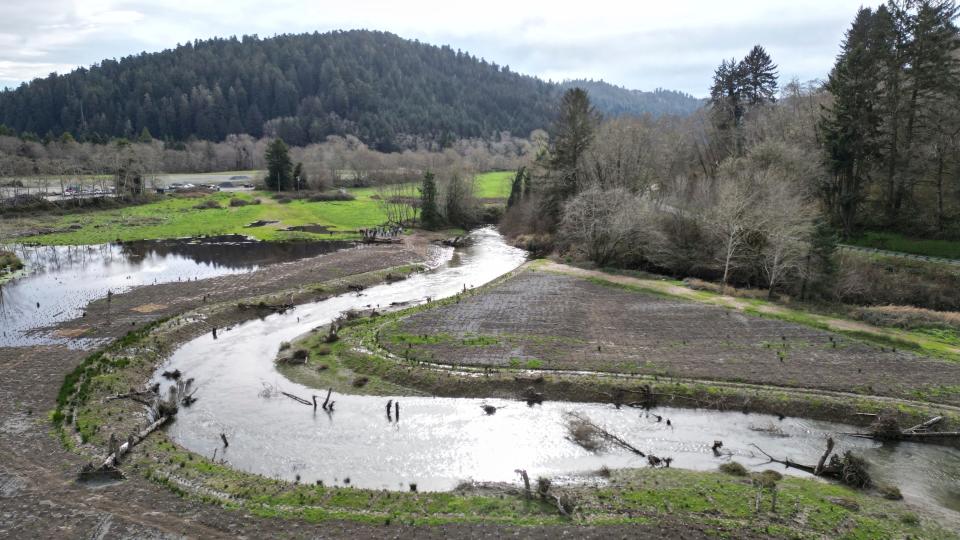 Drone photo shows the site of a salmon restoration project at Prairie Creek in Redwoods National Park, Calif., Monday, Jan. 29, 2024. (AP Photo/Terry Chea)