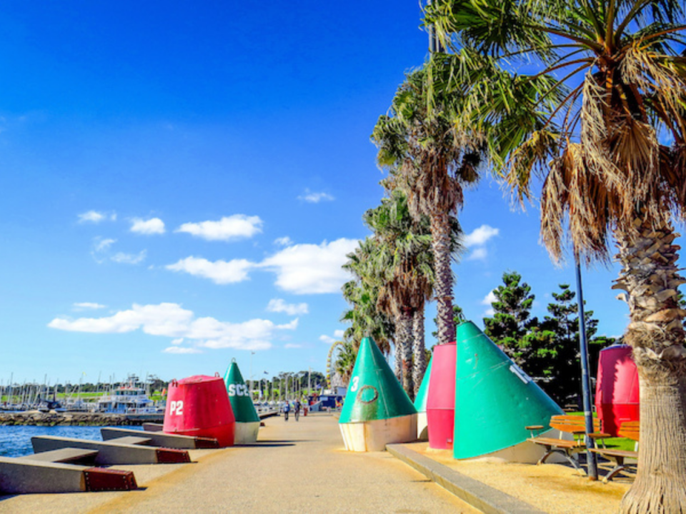 Palm trees, buoys and sails along the beaches of Geelong.