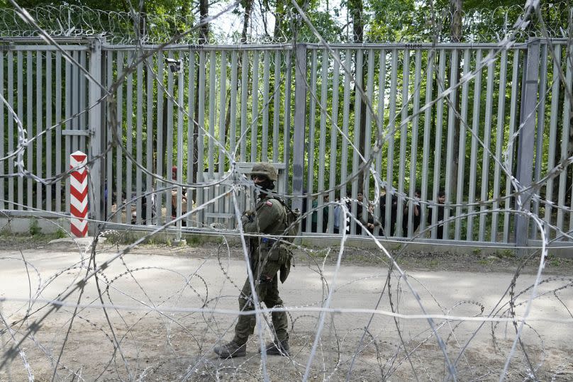 A Polish soldier patrols the border with Belarus, in Bialowieza Forest, May 2024