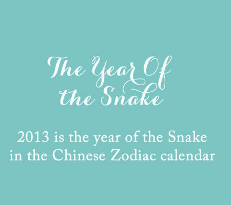 The Year Of The Snake