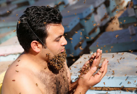 Mohamed Hagras, 31, prays as he performs the "Beard of Bee" before the upcoming Egyptian Agricultural Carnival of Beekeeping in his farm at Shebin El Kom city in the province of Al- Al-Monofyia, northeast of Cairo, Egypt November 30, 2016. Picture taken November 30, 2016. REUTERS/Amr Abdallah Dalsh