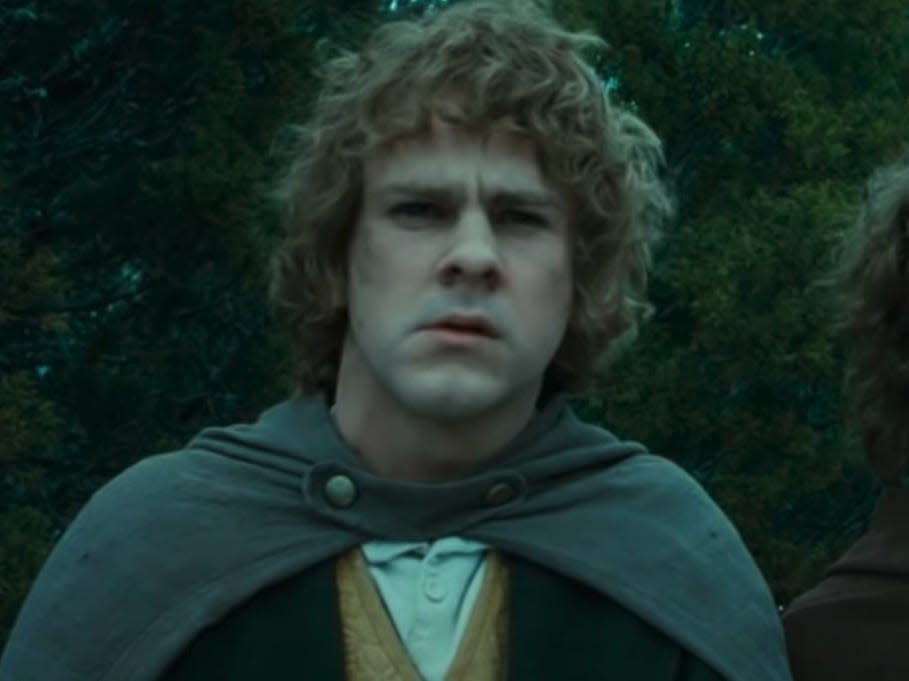 merry wearing a gray cape in lord of the rings