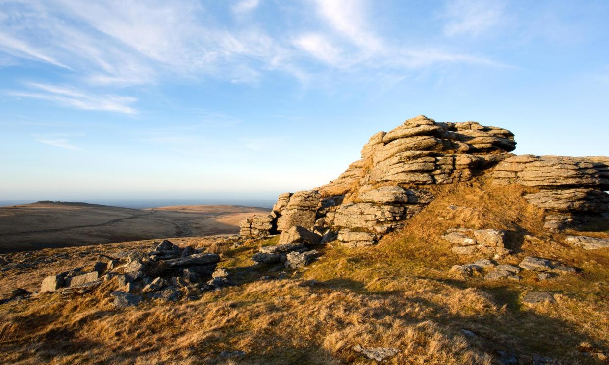 <span>Dartmoor national park, whose board contains no conservation experts, did not provide any data about its ownership.</span><span>Photograph: ASC Photography/Alamy</span>