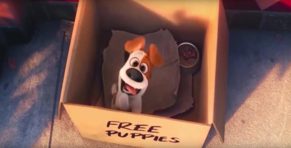 secret life of pets max cardboard box