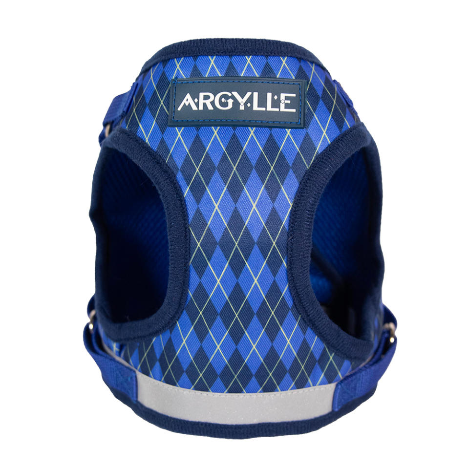 'Argylle' x Travel Cat Harness and Leash Set in Blue