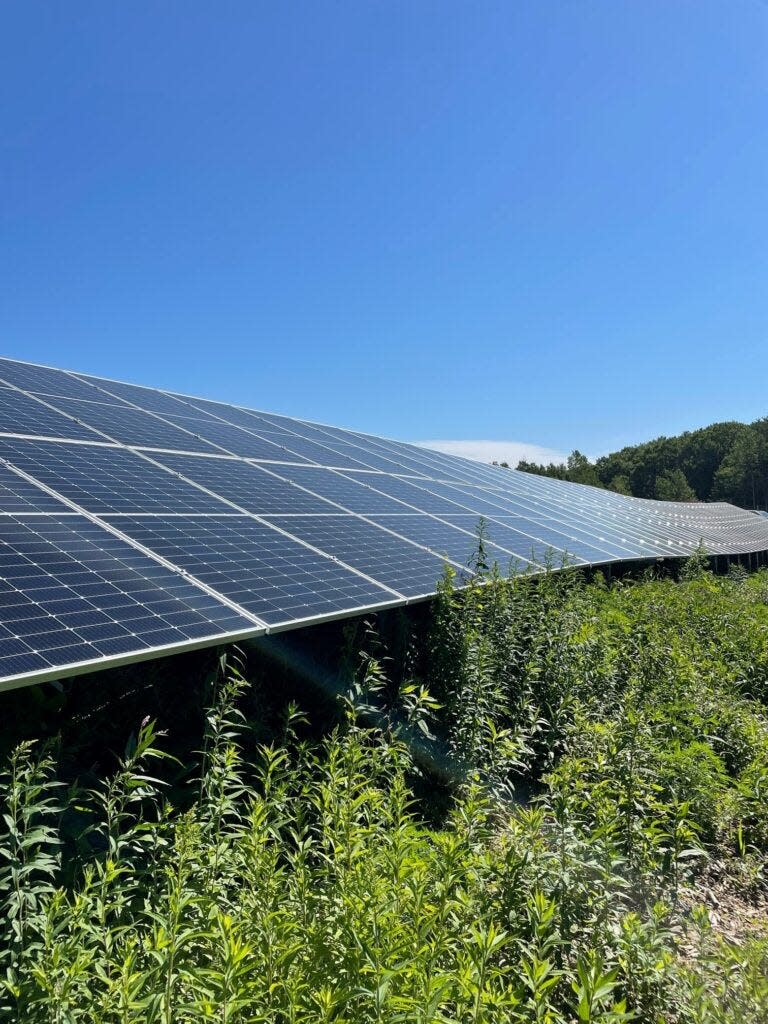 Walden Renewables, a renewable energy development company, has several utility scale solar projects under way in New Hampshire. Pictured is the company’s Littlefield Solar Project in Wells, Maine.