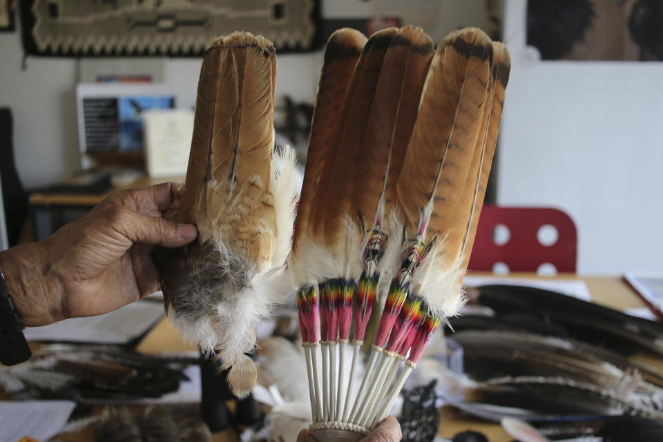 Non-eagle bird carcasses and bird feathers are stored at the Liberty Wildlife Non-Eagle Feather Repository in Phoenix, Tuesday, Feb. 27, 2024. Citizens of federally recognized Native American tribes who are 18 and older can request items from the repository for religious and ceremonial purposes. (AP Photo/Cheyanne Mumphrey)