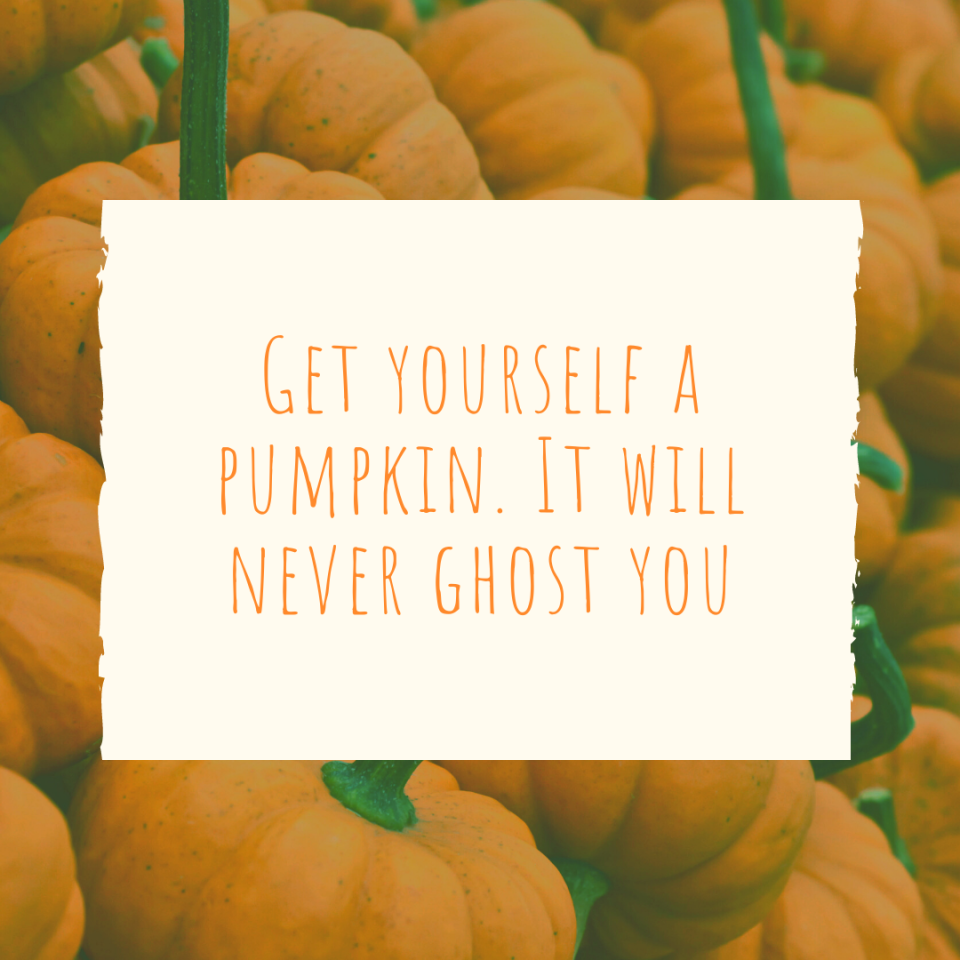 Get yourself a pumpkin. It will never ghost you. | Pumpkin Patch Caption