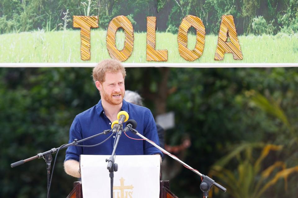 <p><strong>26 October </strong>Prince Harry made a speech at the unveiling of the Queen's Commonwealth Canopy at Tupou College. </p>