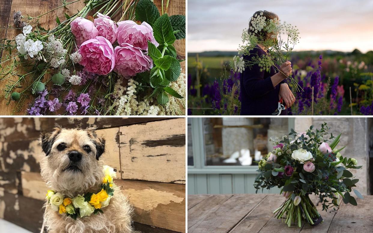 From Cornwall to Lincolnshire, via North Norfolk, we've selected our pick of the best events to celebrate British Flowers Week