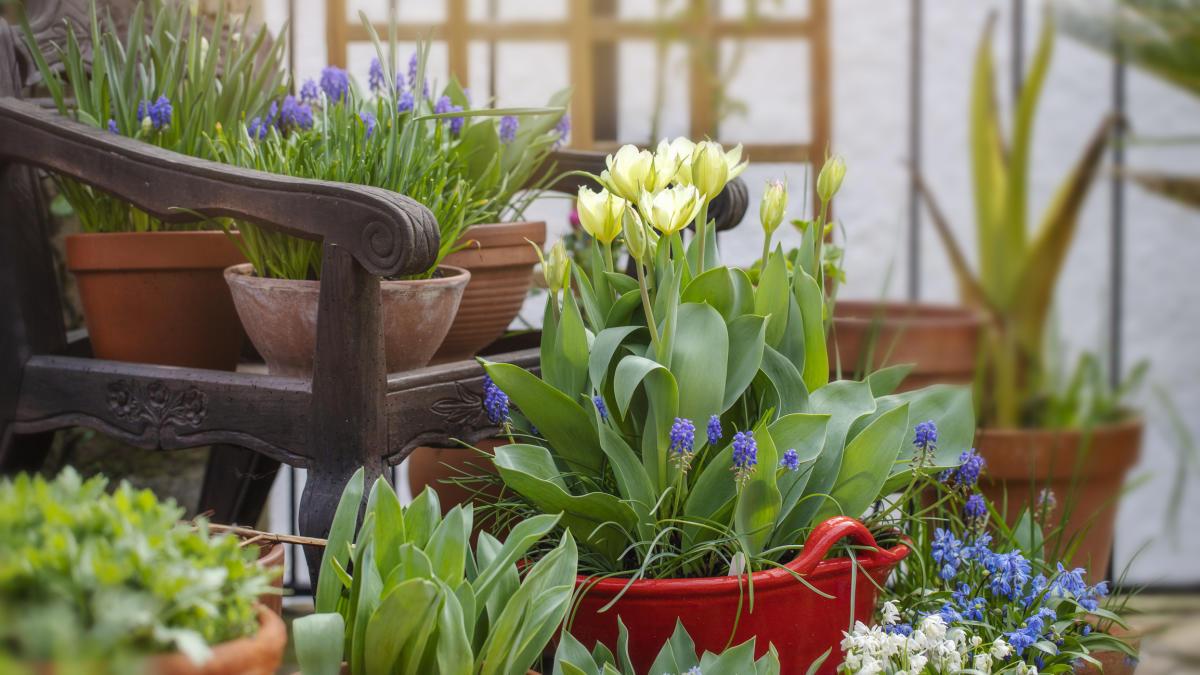 The Best Garden Carts of 2024 - Tested by Bob Vila