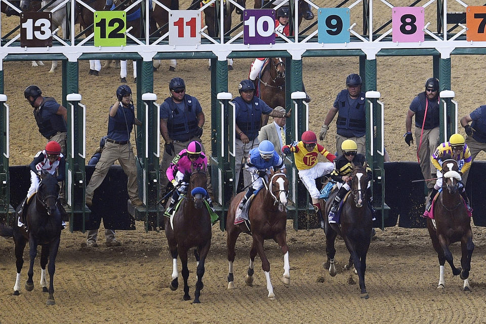 John Velazquez tumbles to the turf after falling off Bodexpress at the starting gate during the 144th Preakness Stakes horse race at Pimlico race course, Saturday, May 18, 2019, in Baltimore. (AP Photo/Nick Wass)