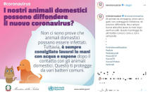 Che cosa è il coronavirus? Cosa si può fare per prevenirlo? Quali sono i sintomi? A queste e ad altre domande risponde il Ministero della Salute attraverso delle grafiche diffuse sui social.