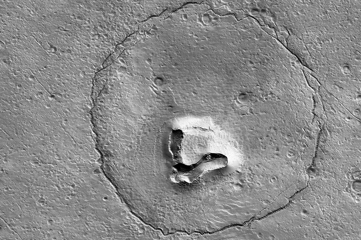 An alien teddy peers from the surface of the Red Planet  (University of Arizona)