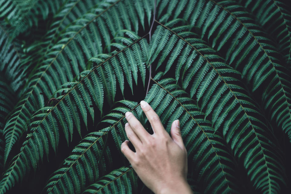 Taking a quiet, mindful nature walk can have a calming effect. (Photo: Getty Images)