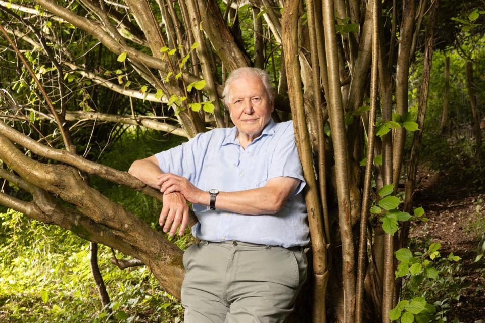 Attenborough during the filming of ‘Planet Earth III’ (BBC, Mark Harrison)
