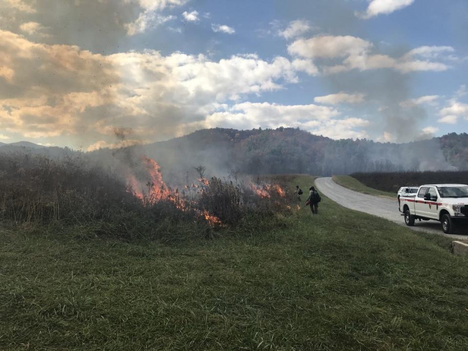 Great Smoky Mountains National Park and Appalachian Piedmont Coastal Fire staff use drip torches to ignite a prescribed burn near Cable House in Cades Cove in November 2022. Periodic fire disturbance reduces the buildup of fuels and restores meadow habitat for wildlife including wild turkeys, deer, and ground-nesting birds.