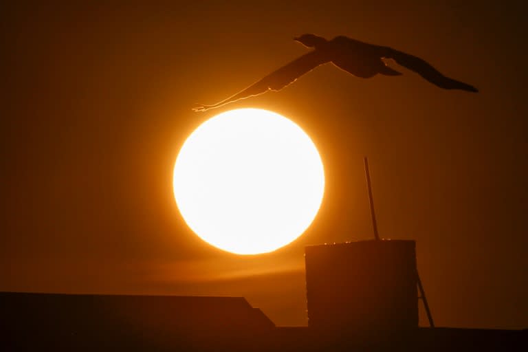 Lediglich eines von acht Steckersolargeräten für den Balkon hat die Stiftung Warentest in einer Untersuchung überzeugt. Dabei handelt es sich um die günstigste Anlage im Test, wie das Verbrauchermagazin in Berlin am Donnerstag mitteilte (David GANNON)