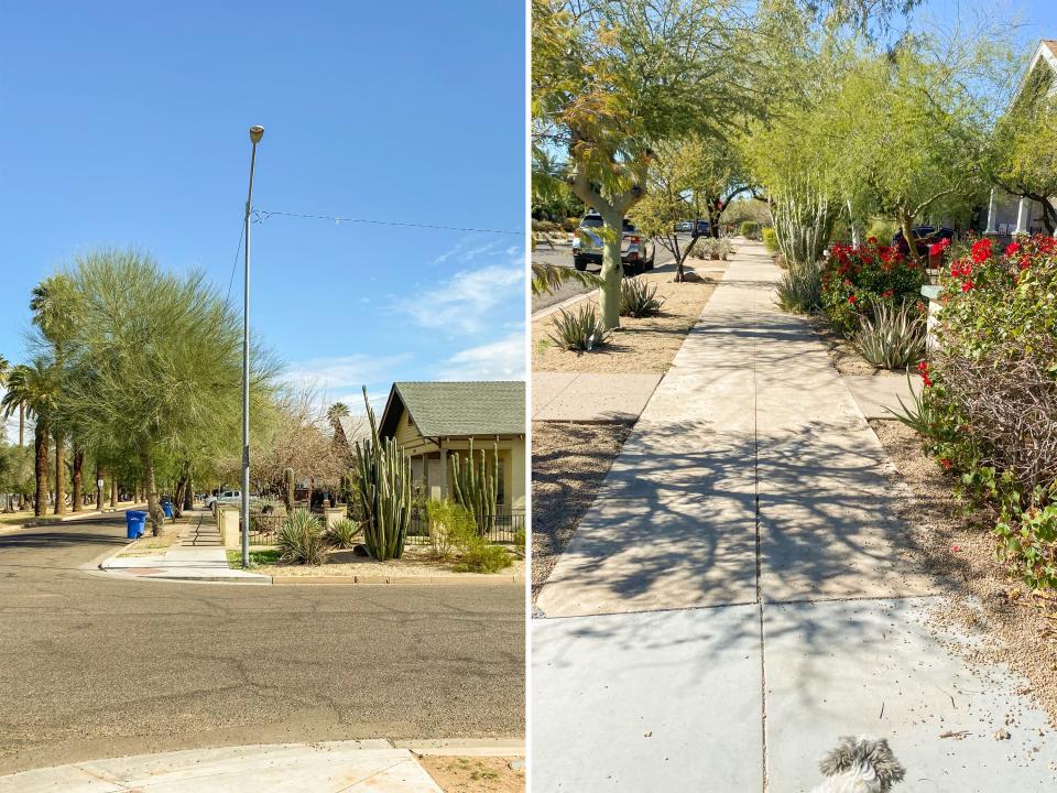 Two views of phoenix on clear days
