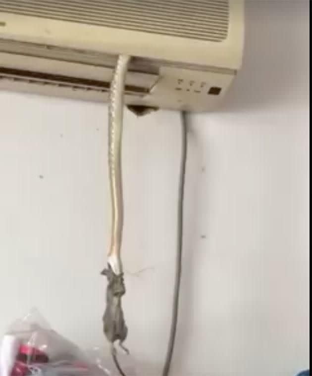 Everybody check your air con units now! Photo: Facebook