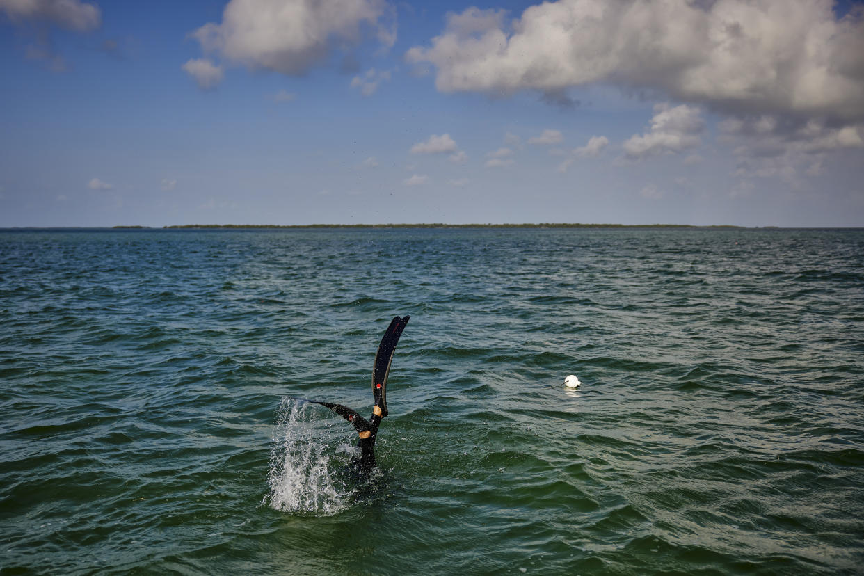 Biologist Ross Boucek of the nonprofit conservation group Bonefish & Tarpon Trust dives to deploy an acoustic receiver that will be used to track fish activity, as well as collect water samples, in the Florida Keys on April 2, 2024. (Scott McIntyre/The New York Times)