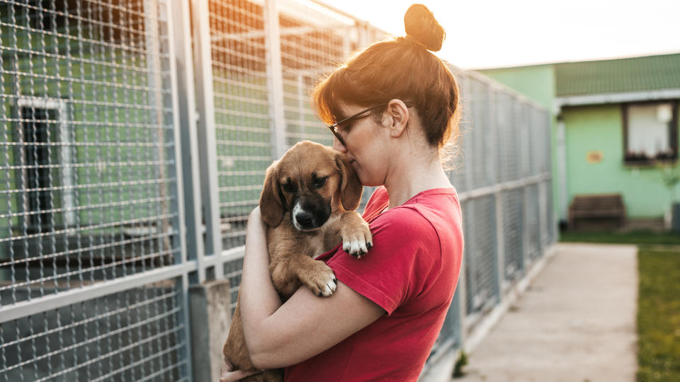 Lady cuddling dog at shelter