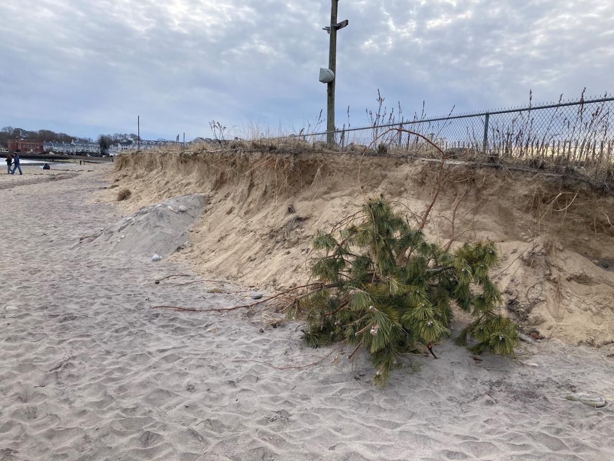 The dunes at Narragansett Town Beach were diminished by the storms of December and January.