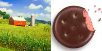 <p>Considered America's Dairyland, Wisconsin knows the excitement of dunking a <a href="https://www.littlebrowniebakers.com/cookies-info/raspberry-rally/" rel="nofollow noopener" target="_blank" data-ylk="slk:Raspberry Rally;elm:context_link;itc:0;sec:content-canvas" class="link ">Raspberry Rally</a> into a cold glass of milk better than anyone.</p>