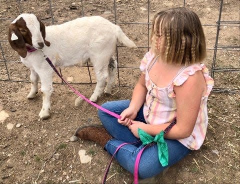 white goat on left with little girl seated cross-legged to his right
