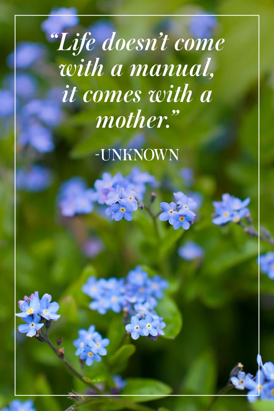 <p>"Life doesn't come with a manual, it comes with a mother."</p><p>- Unknown</p>