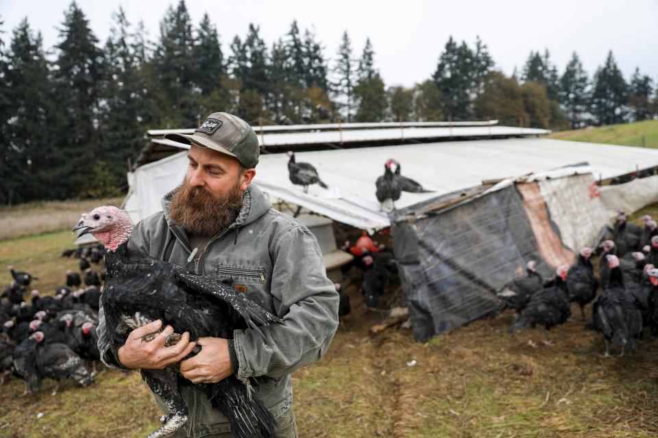 Andrew Sculer holds a turkey on Nov. 3 that will be processed and sold for this Thanksgiving.