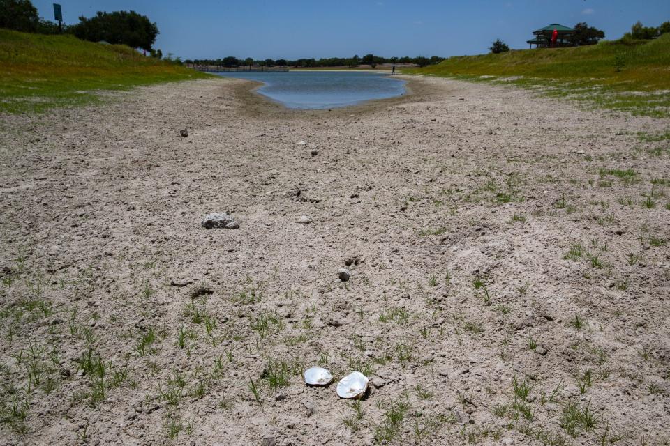 A shell sits on the lakebed of Lake Corpus Christi on Aug. 3, 2022. Low water levels have exposed parts of the shore normally underwater.