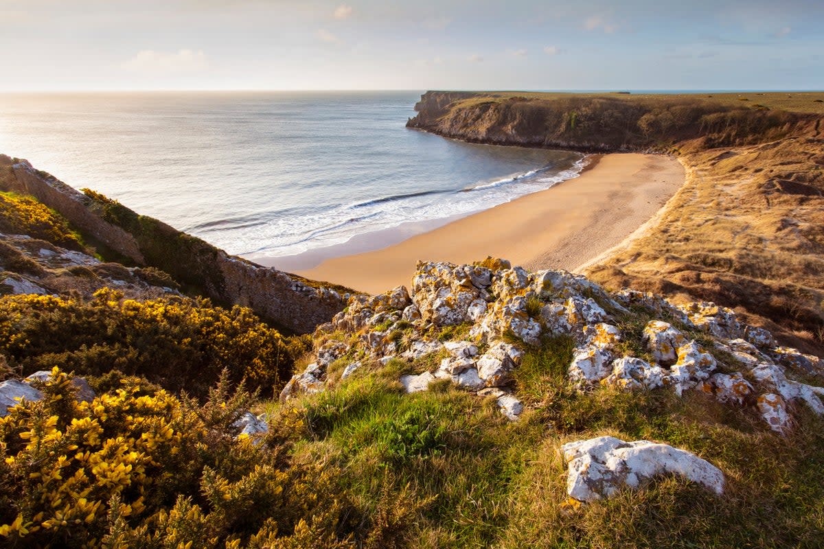 It’s well worth the hike to bathe on Barafundle Bay (Getty Images)