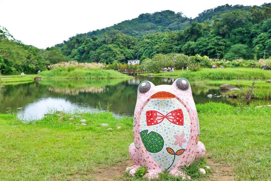 桃園大溪｜月眉人工濕地生態公園