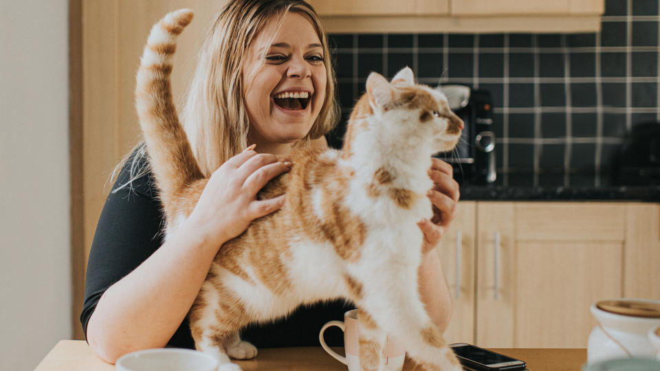 cat being stroked tail up