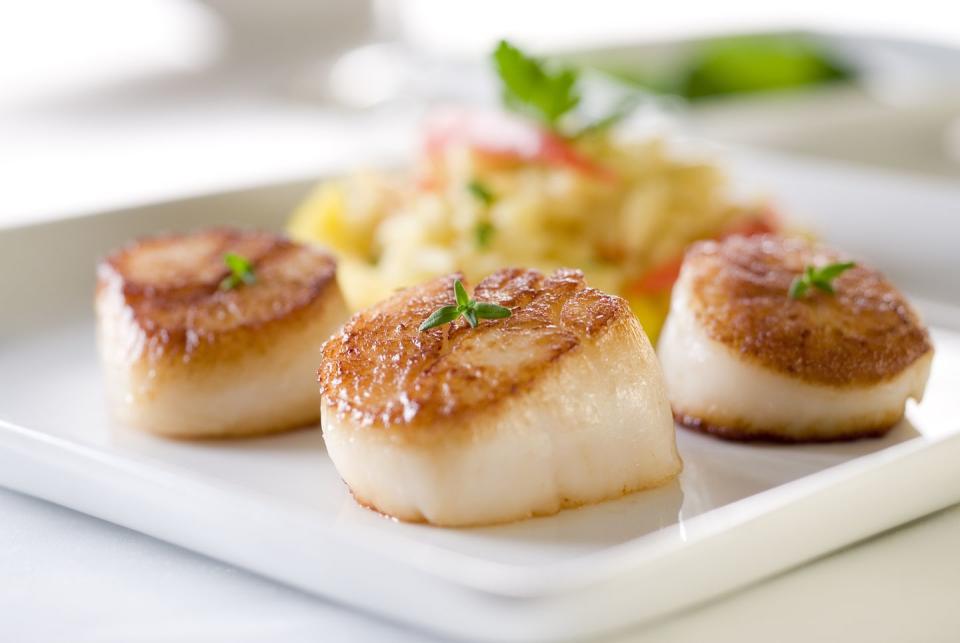 Scallops