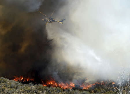 Los Angeles County fire hawk makes a water drop on a100-acre brush fire burning in the hills north of Los Angeles, California, June 24, 2015. REUTERS/Gene Blevins