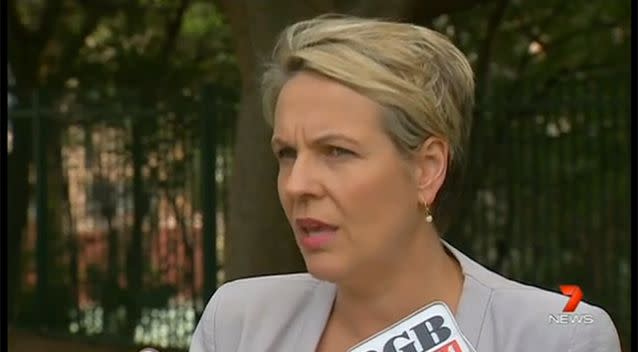 Federal Deputy Opposition Leader Tanya Plibersek says workers deserve compensation for Sunday work. Photo: 7 News