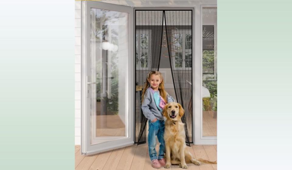 A little girl and dog standing in front of curtain that blocks bugs from entering the house.