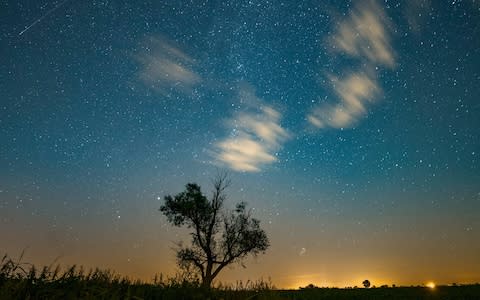 A shooting star, top left, is seen during the Perseid meteor shower in Poland in 2016.  - Credit: EPA/LUKASZ OGRODOWCZYK