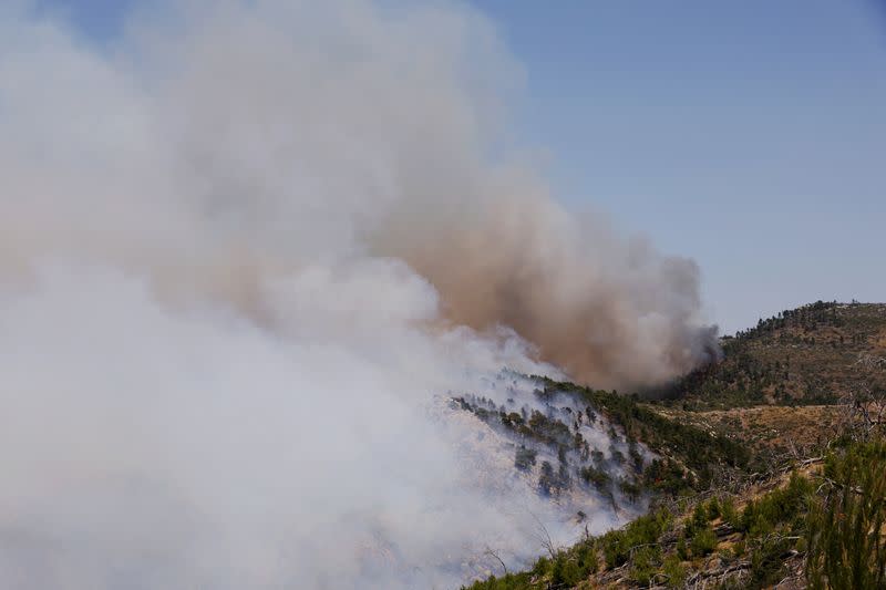 Un incendio forestal cerca de Pournari, Grecia