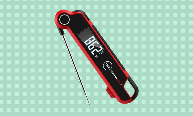 The Top-Rated Kizen Meat Thermometer Is on Sale for $15